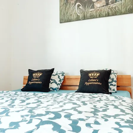 Lilians Modern In Historical Citycenter Apartment Graz